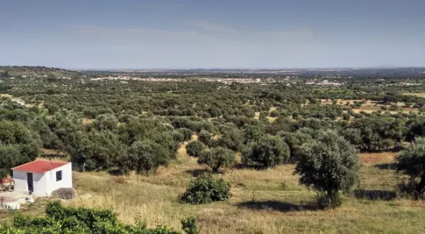 Eine Reise in den Südosten Portugals - Von Burgen, Bauern und dem Meer