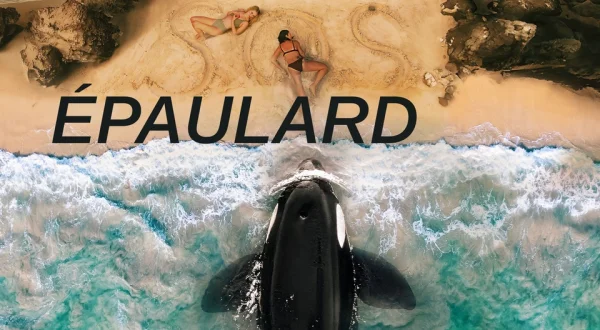Épaulard