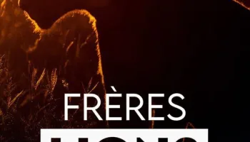 Frères lions