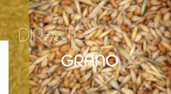 Directo al grano