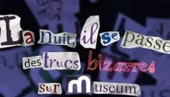 Video Art