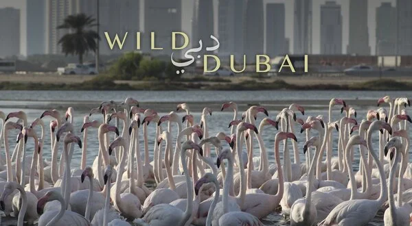 Wild Dubai