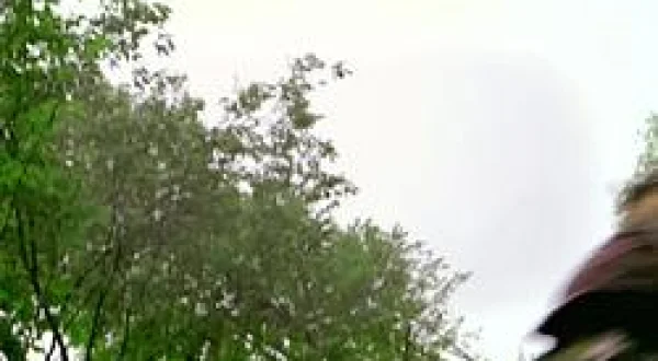 Fight To Survive S1 EP8 - Tree Stand Fall - SEG2