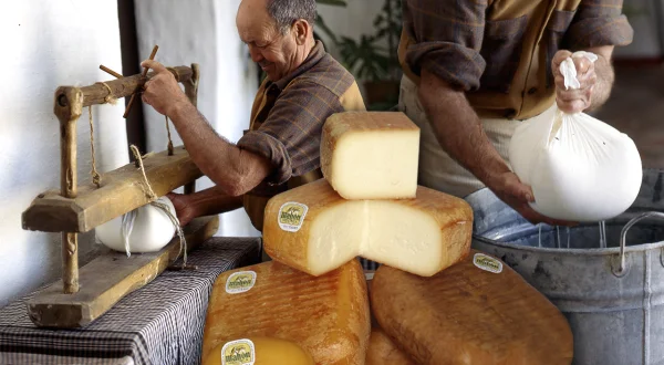 Queso artesanal. Elaboración tradicional (y actual) de este alimento con leche fresca
