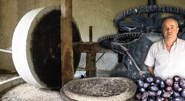 Molino aceitero o torno. Así era su funcionamiento para la producción de aceite artesanal