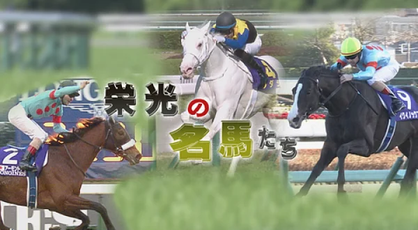 栄光の名馬たち（ピクシーナイト）