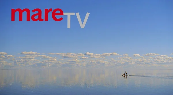mareTV