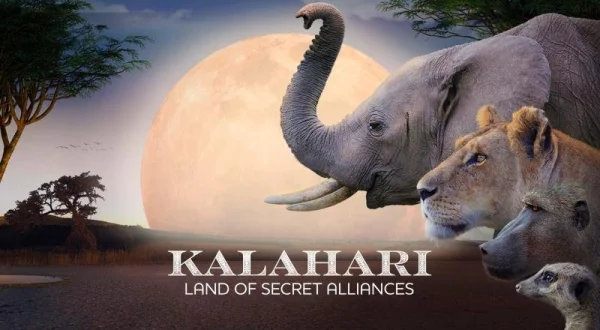 Kalahari: Země tajných spojenectví