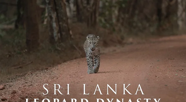 Sri Lanka: Leopard Dynasty