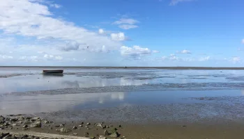 mareTV kompakt