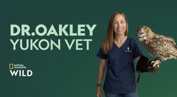 Dr. Oakley: Yukon Vet