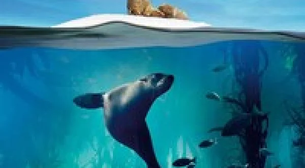Blue Planet II