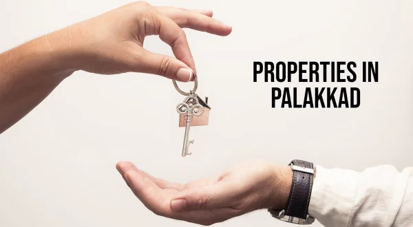 Properties In Palakkad