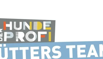 Der Hundeprofi – Rütters Team