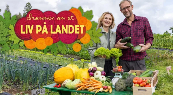 Drømmen om et liv på landet