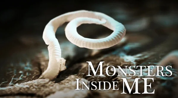 Monsters Inside Me