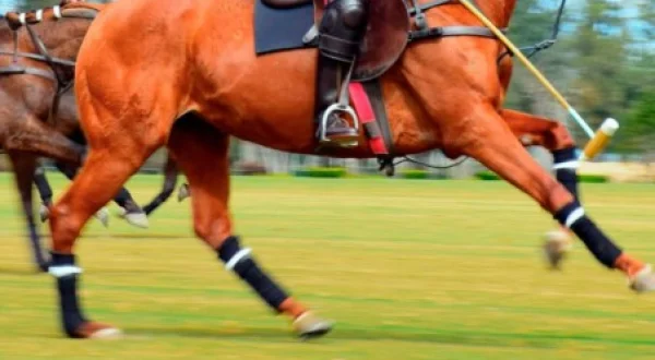 CSI3* Maeza Grand Prix 2022