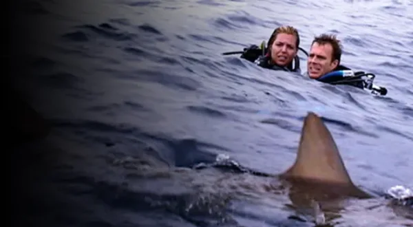 Open Water, en eaux profondes