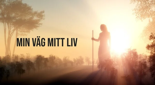 Min väg mitt liv