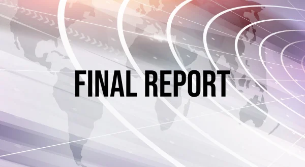 Final Report
