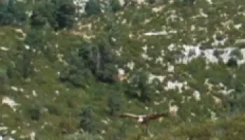 Xarxa Natura