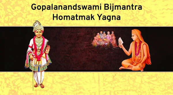 Gopalanandswami Bijmantra Homatmak Yagna