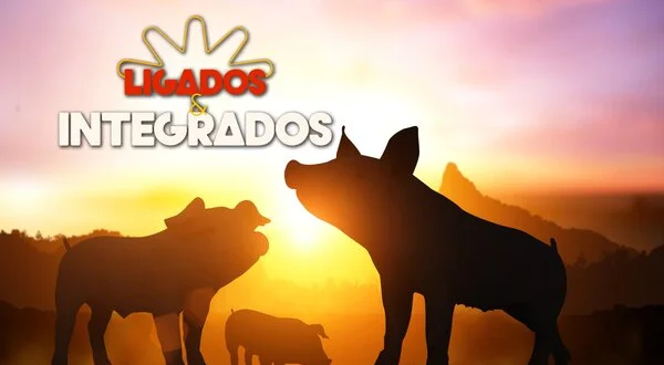 Ligados e Integrados