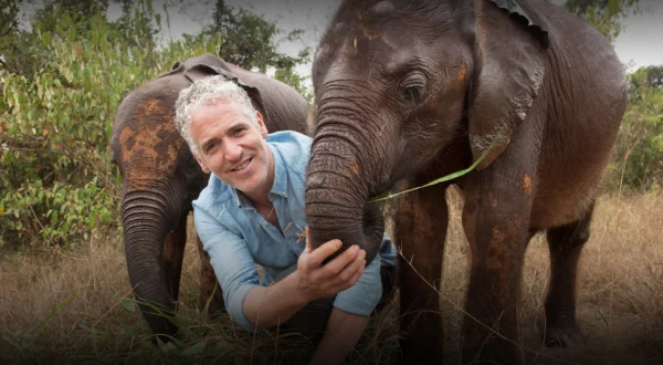 La familia elefante y yo