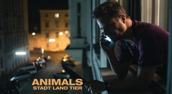 Animals - Stadt Land Tier