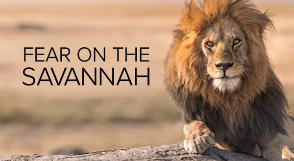 Fear on the Savannah