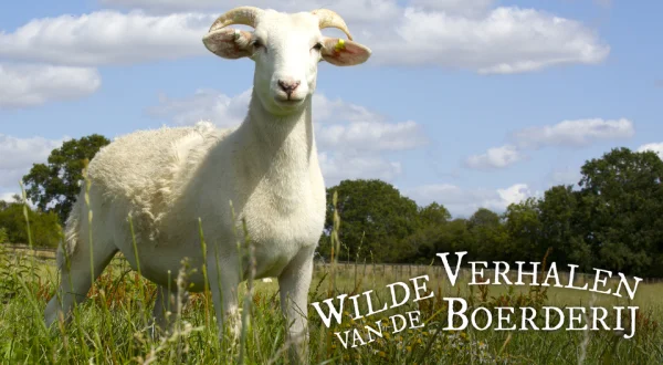 Wilde verhalen van de boerderij