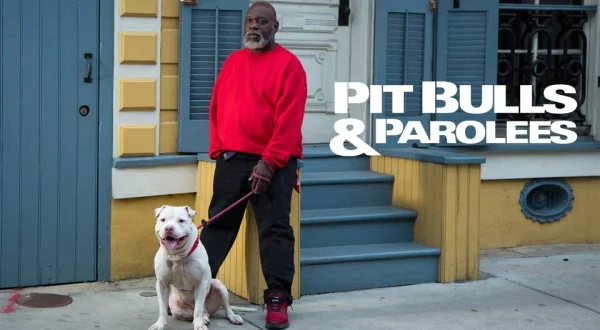 Pit Bulls and Parolees