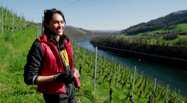 Wein am Rhein