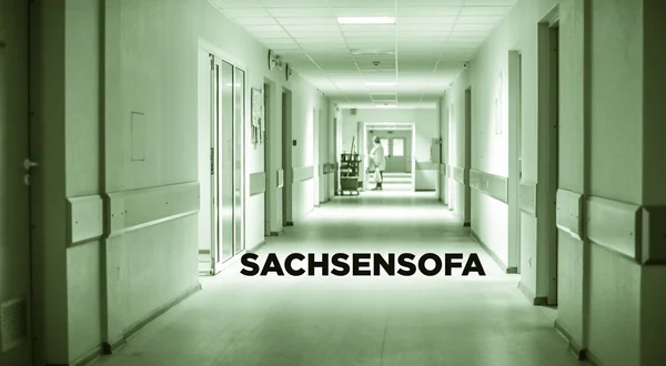 SachsenSofa