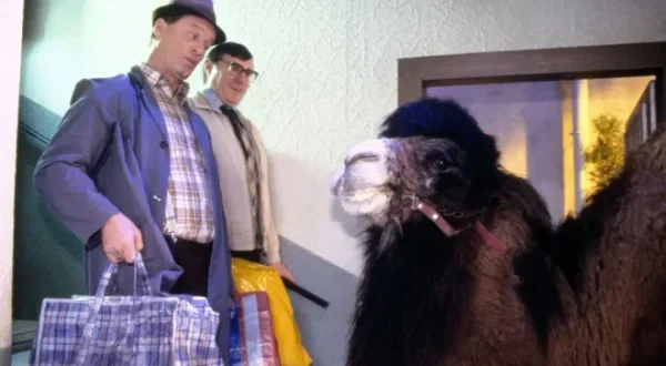 Hausmeister Krause