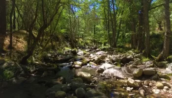 Parques naturales