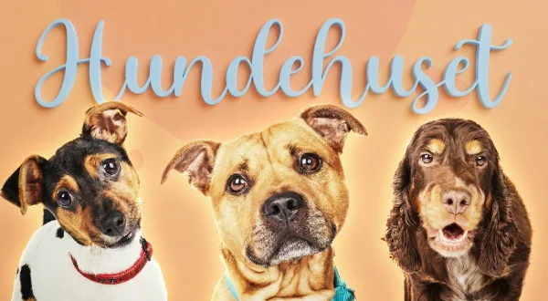Hundehuset