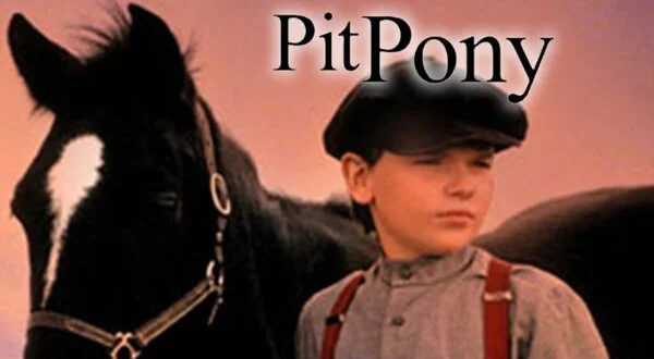 Pit Pony