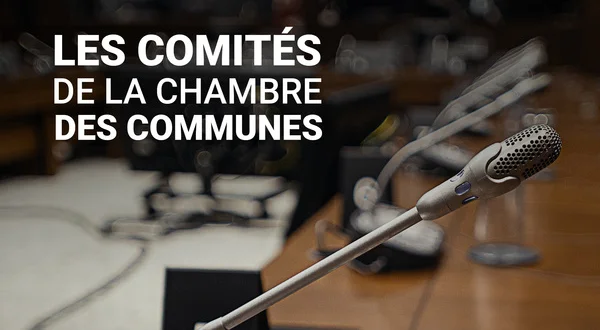 Les comités de la Chambre des communes