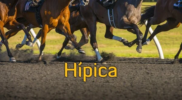 Hípica