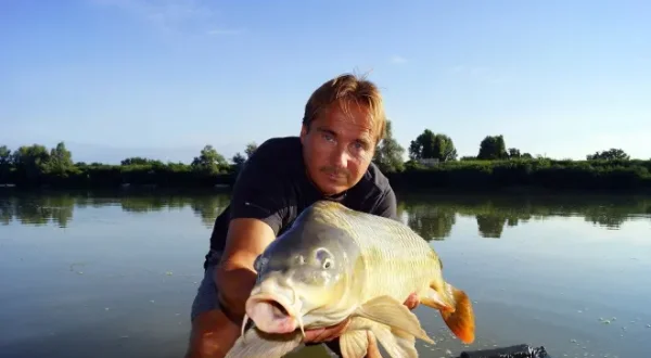 Karpfenangeln - Sommertatort Po!