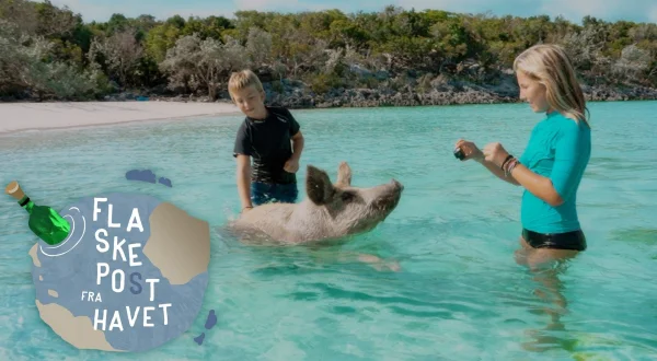 Flaskepost fra Stillehavet