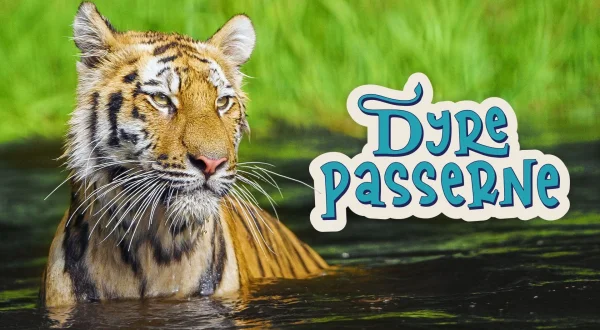 Dyrepasserne