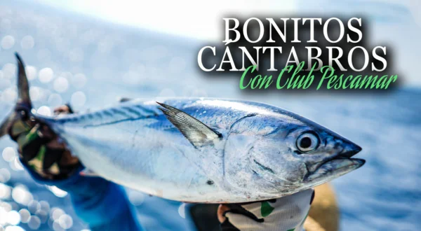 Bonitos cántabros con club Pescamar