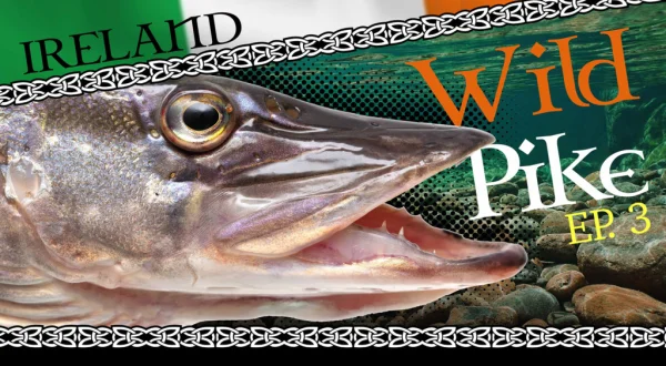 Wild Pike Ireland - Capítulo Final