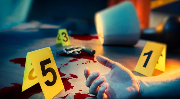 Cold Case Files – Wahre Fälle der US-Ermittler