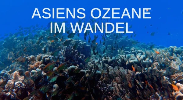 Asiens Ozeane im Wandel
