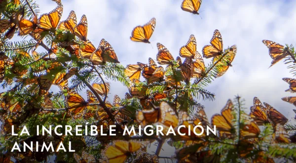 Un viaje increíble con Steve Leonard