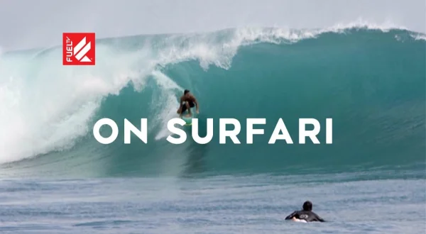 On Surfari