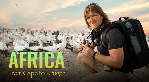 Africa from Cape to Kruger